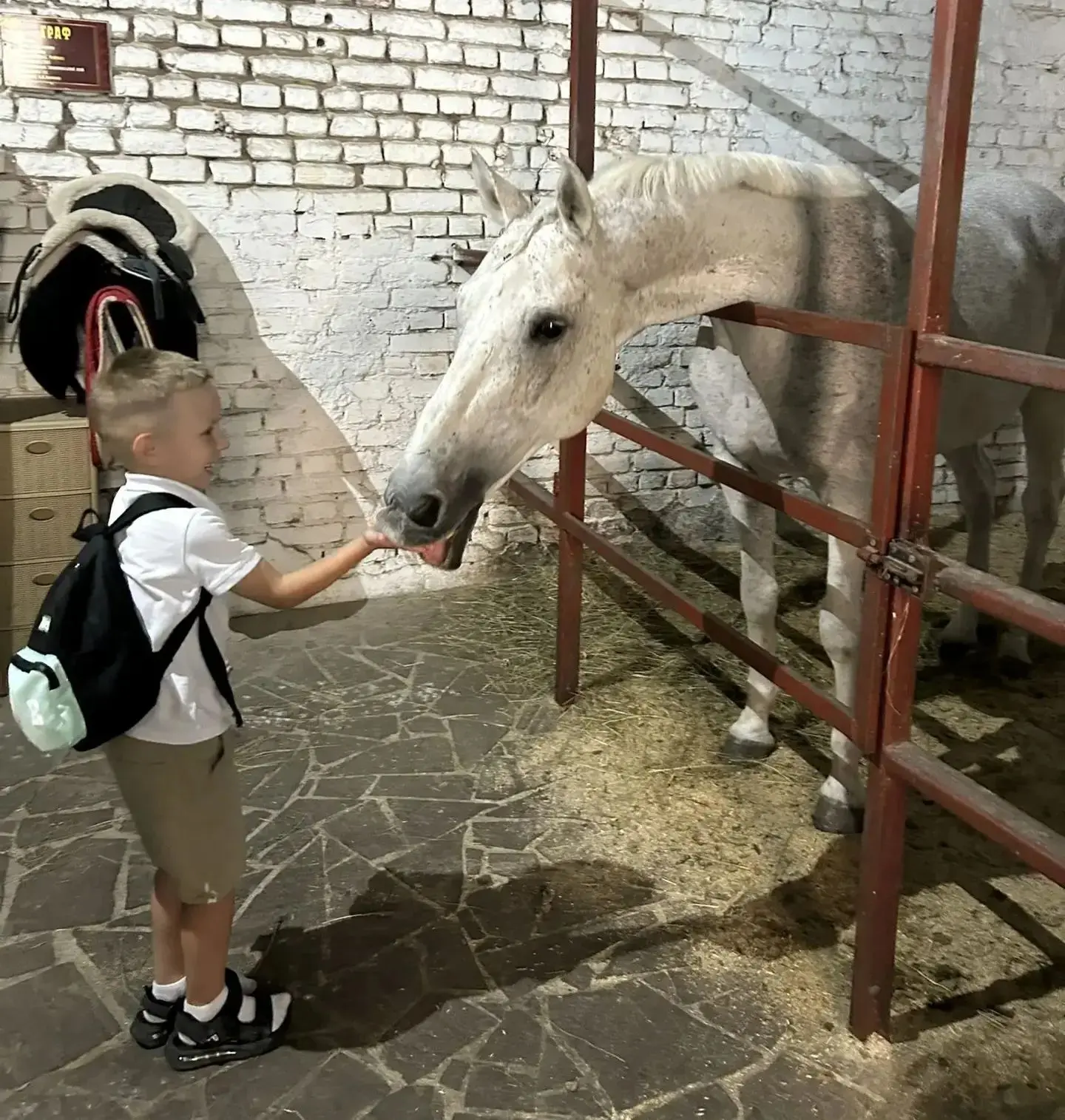 На выходных ребята нашего детского сада группы "Акварельки " побывали на экскурсии в ко...