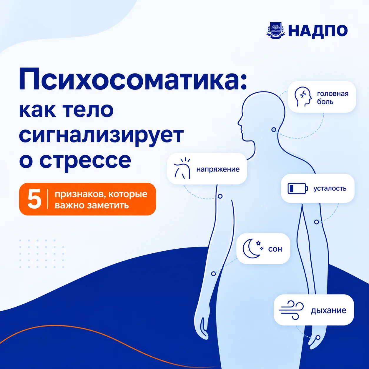 Тело часто замечает стресс раньше, чем мы сами успеваем его назвать.

Кажется: “Я просто устала, нич