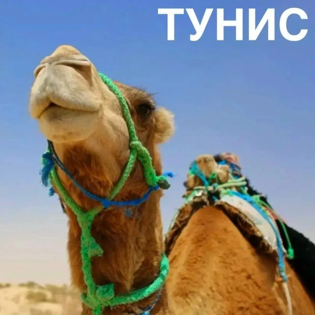 АРАБСКАЯ НОЧЬ.... ВОЛШЕБНЫЙ ВОСТОК💛