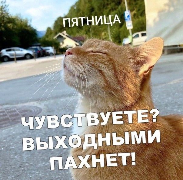 2 октября, пятница, Ставрополь