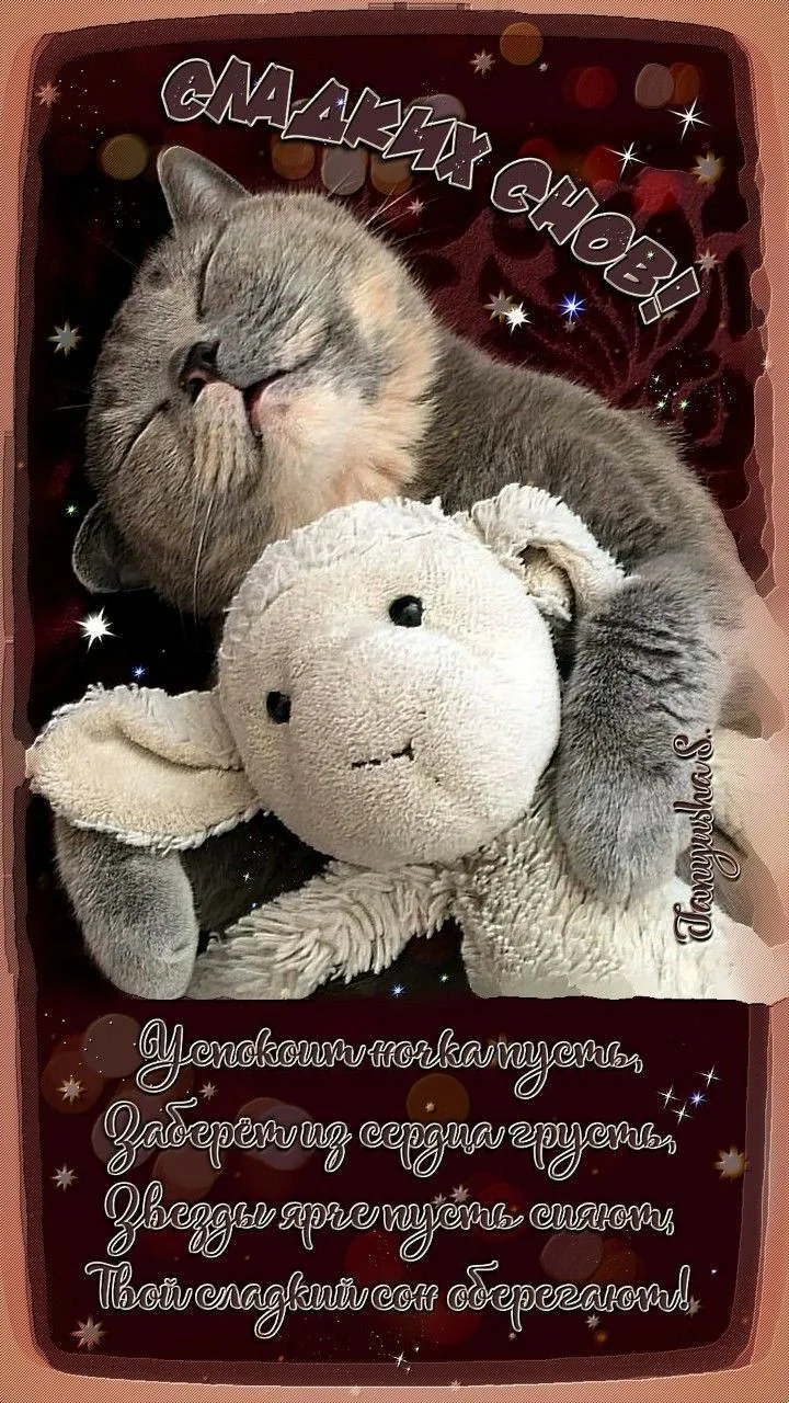 🥰 Оставляйте реакции, если понравилась открытка и делитесь с близкими ❤️

💌 Лучшие Открытки и позд