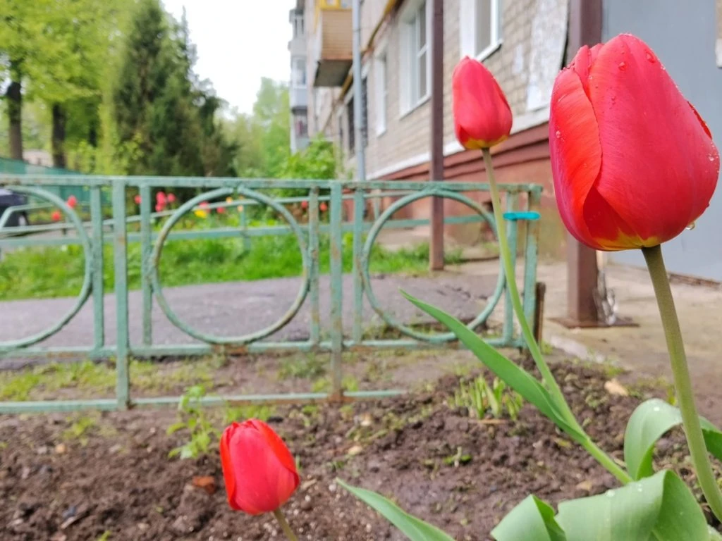 На завтра синоптики прогнозируют в Рязанской области теплую и влажную погоду  Главное управление МЧС