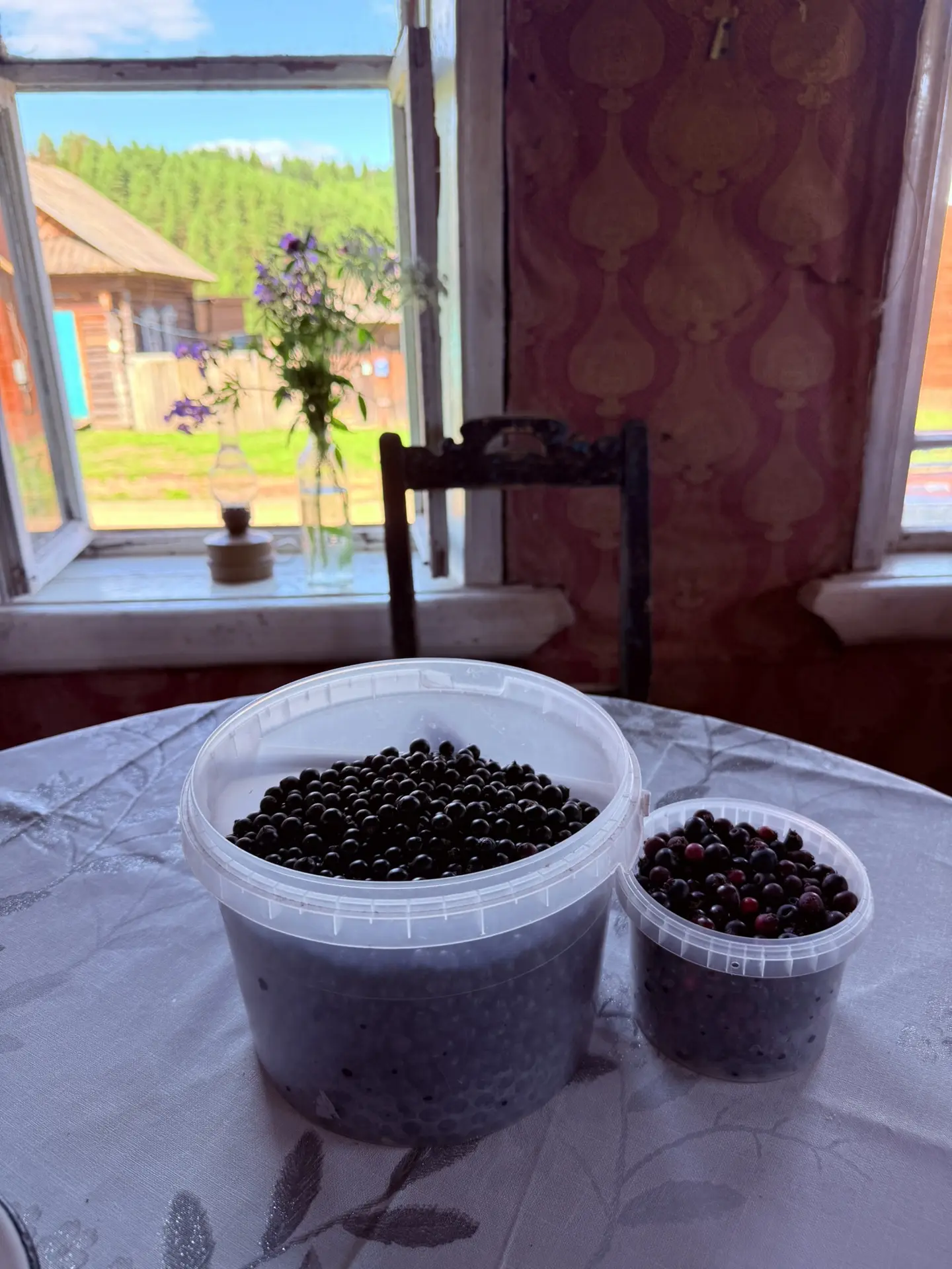 вот собственно и первый урожай 😋