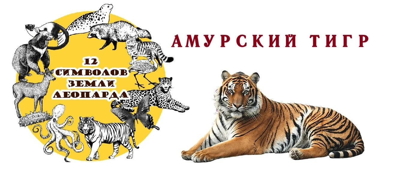 🐾Педагоги МДОБУ № 22 «Малыш» продолжают цикл образовательных мероприятий в рамках экол...