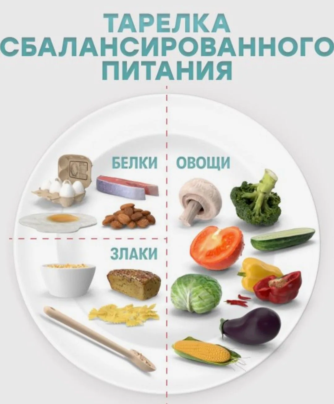 Тарелка сбалансированного питания