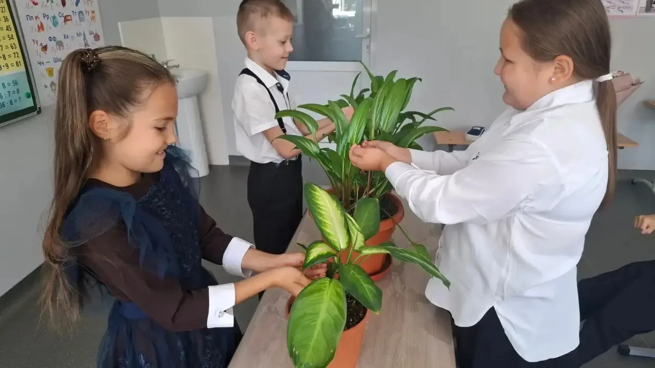🕊️ АКЦИЯ «КАПЛЯ ЖИЗНИ» В НАЧАЛЬНОЙ ШКОЛЕ 💧