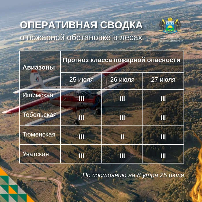 🔥 По данным региональной диспетчерской службы, на утро 25 июля в Тюменской области нет действующих 