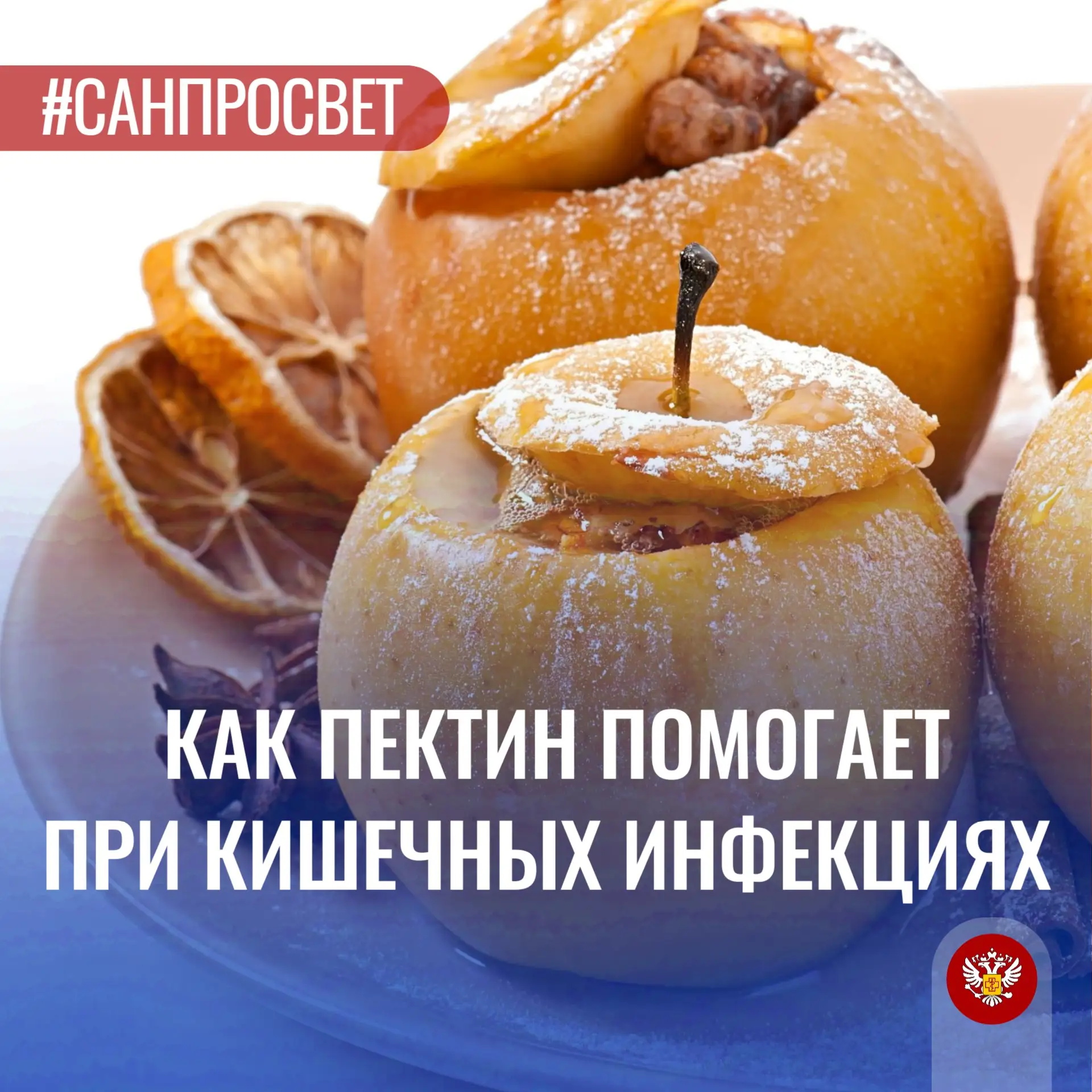 🍎 Как пектин помогает при кишечных инфекциях