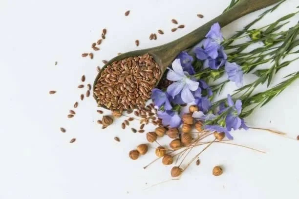 Забота о поджелудочной железе — просто и эффективно! 🌿

Если вас беспокоит поджелудочная железа, у 