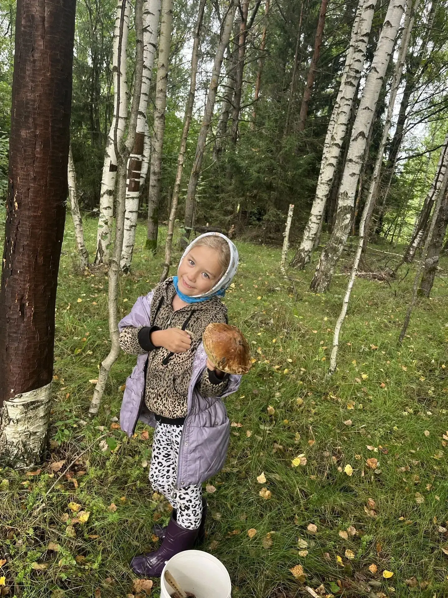Онлайн-конкурс "Золотая осень".