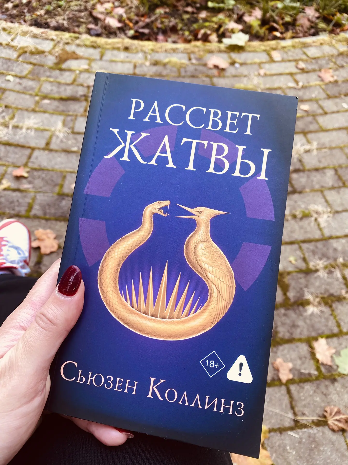 Привет, читающие!