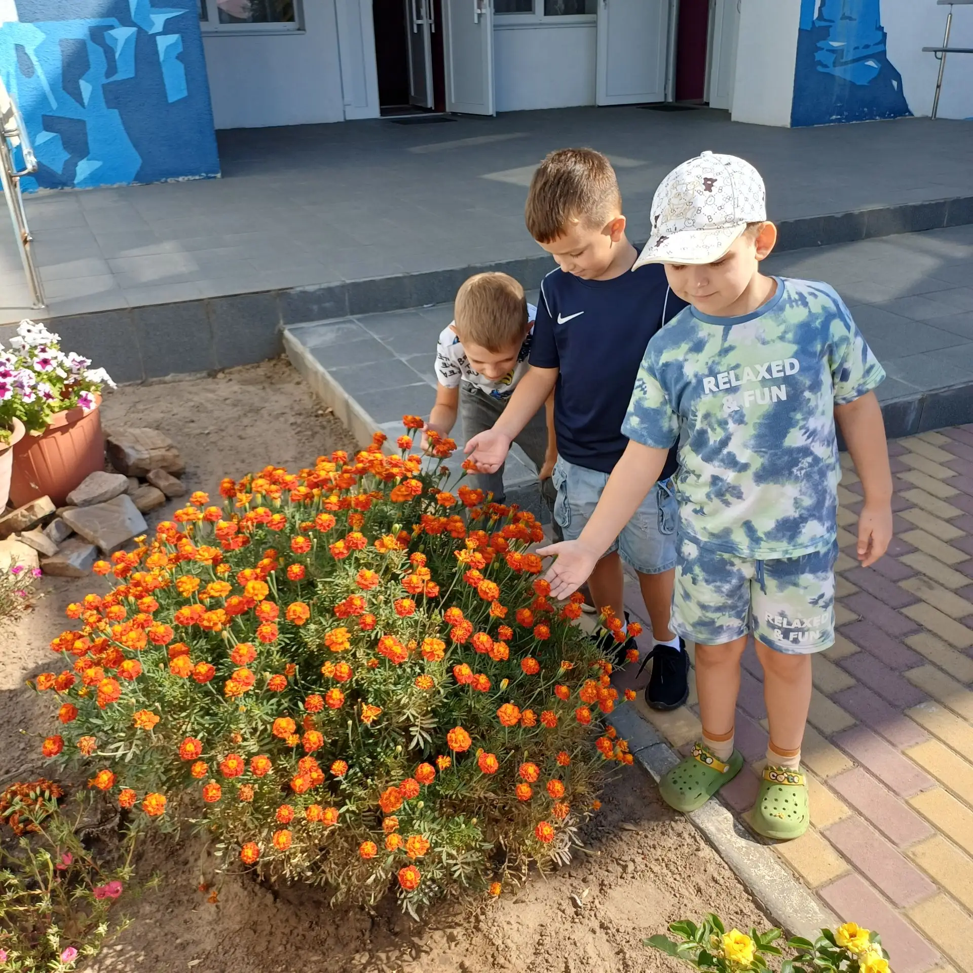 Прогулка в подготовительной группе"Улыбка ".Наблюдение за цветами на клумбе