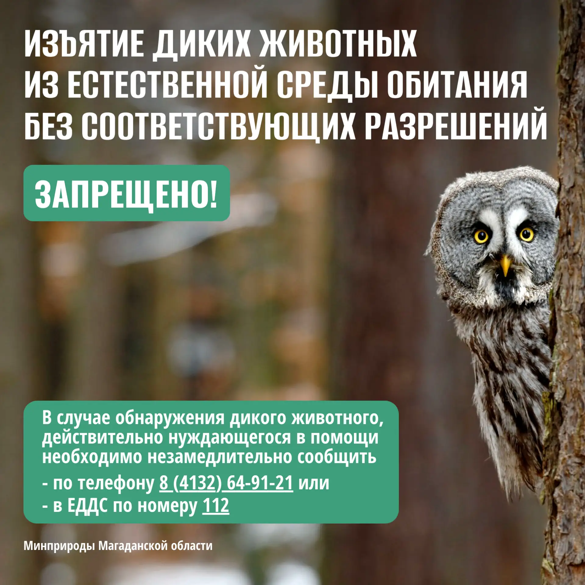 ❗О недопустимости изъятия диких животных из среды обитания