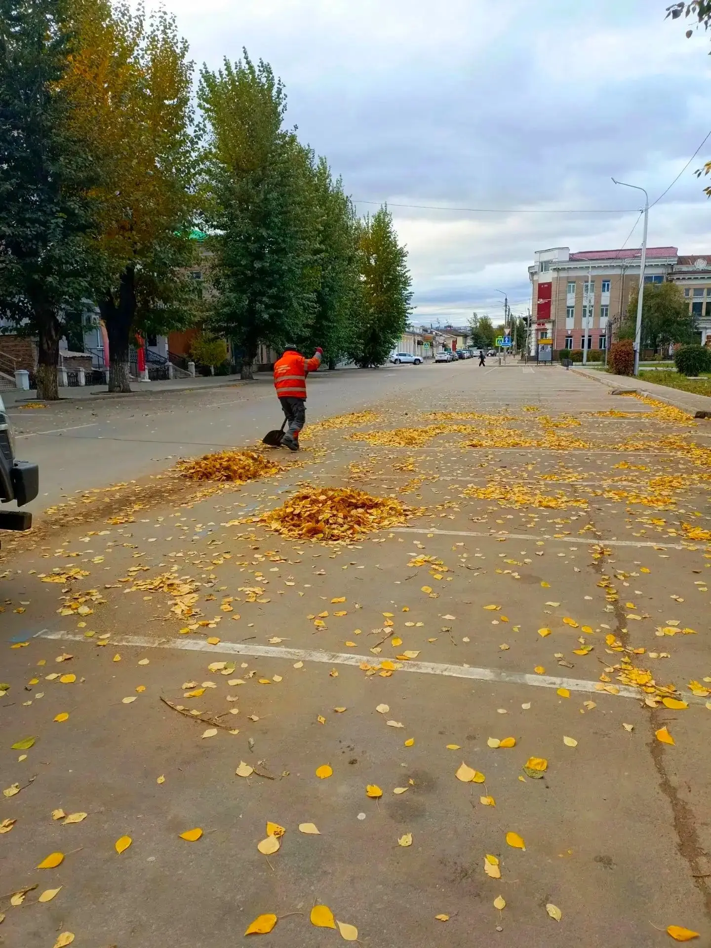 Золотая осень на улицах города