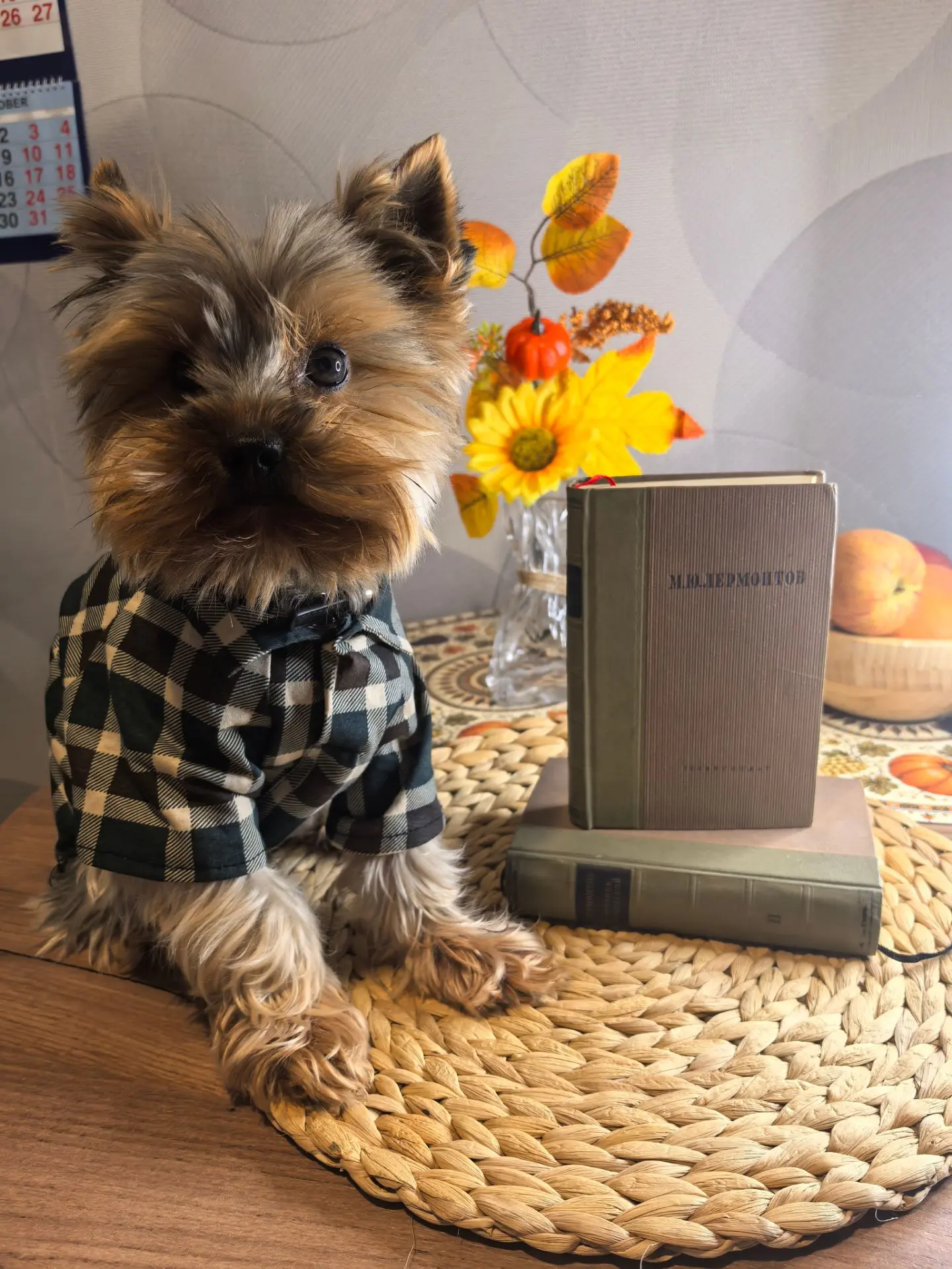 📚 Напоминаю: по средам у нас день оценки книг!
