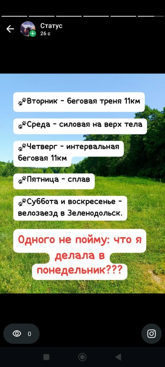 Пост-отчёт 

У меня эта неделя прошла вот так))
И я даже вспомнила, что было в понедельник – лёгкая 