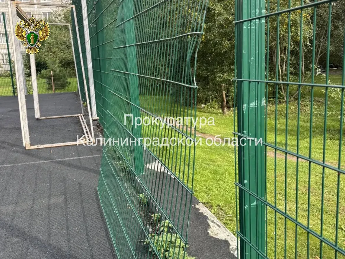 В Зеленоградске прокуратура через суд добивается компенсации для 12-летнего мальчика, п...