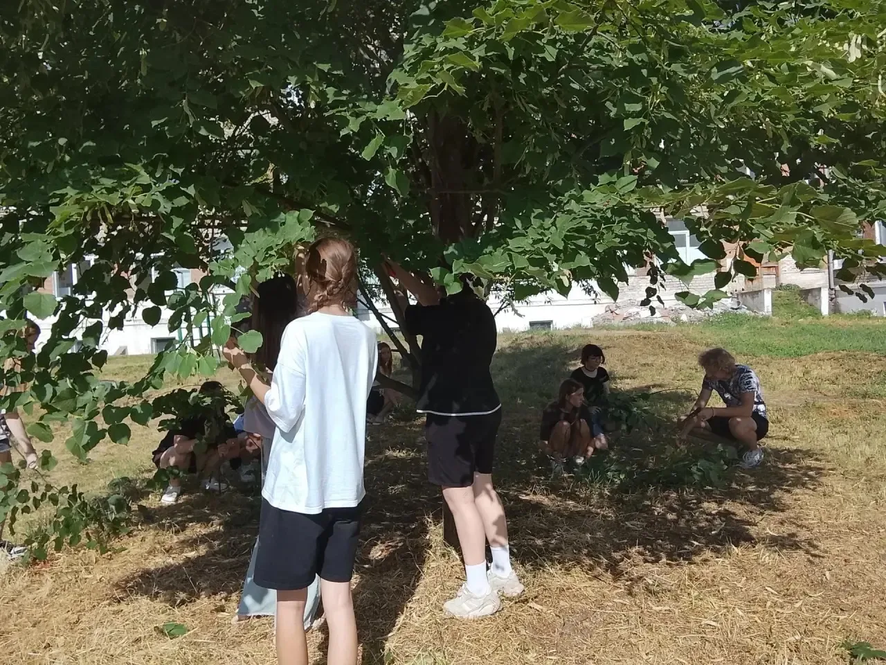 🌿 Итоги насыщенного дня на «Экологической тропе»!

Сегодня воспитанники нашей досуговой площадки по