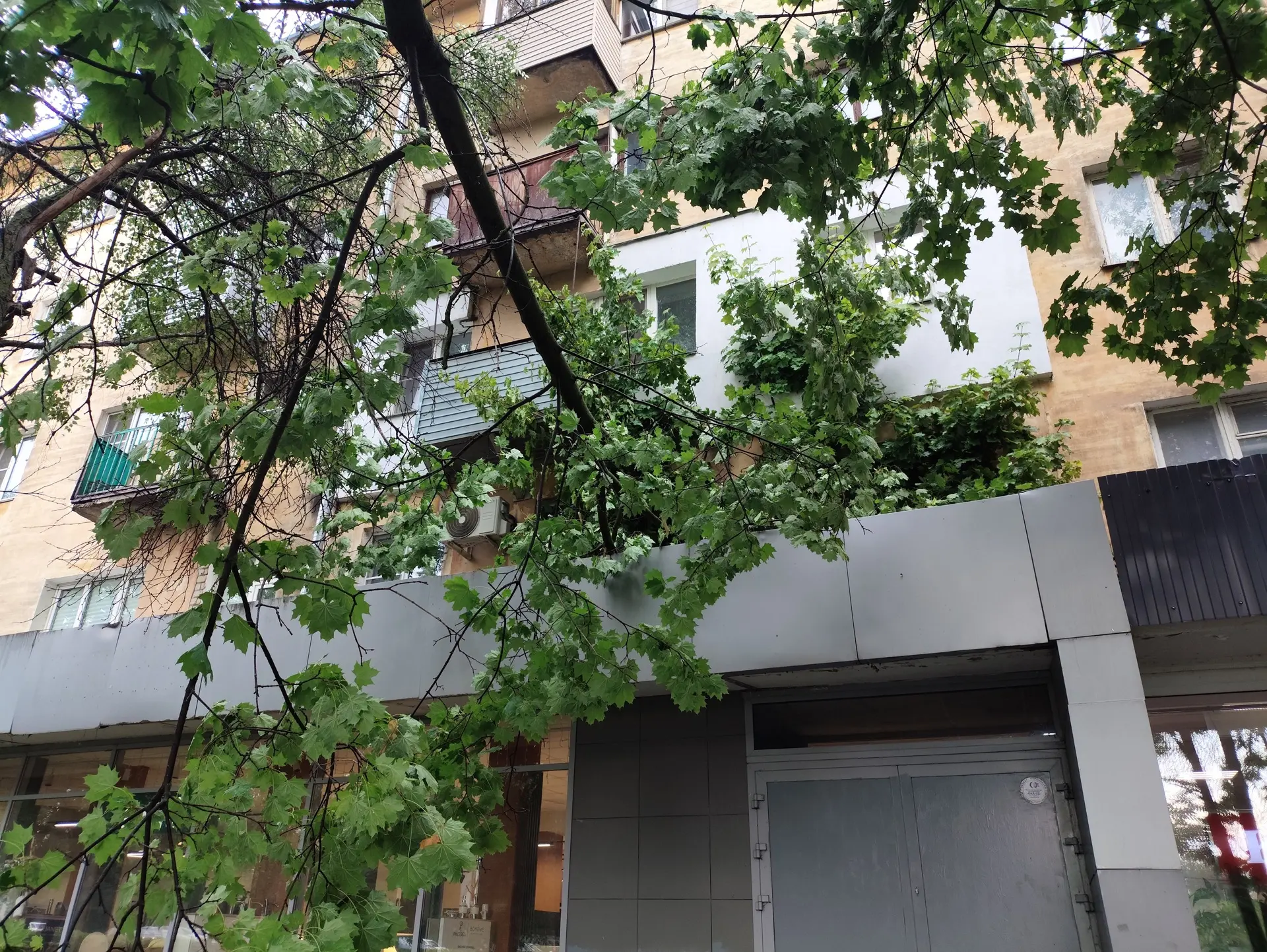 Нижегородцы жалуются на последствия урагана, которые остались на улицах города. На прос...