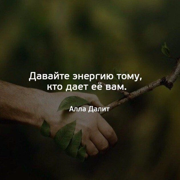 И в этом большая мудрость... Знание меры...Потому что когда ты уделяешь внимание тому, ...