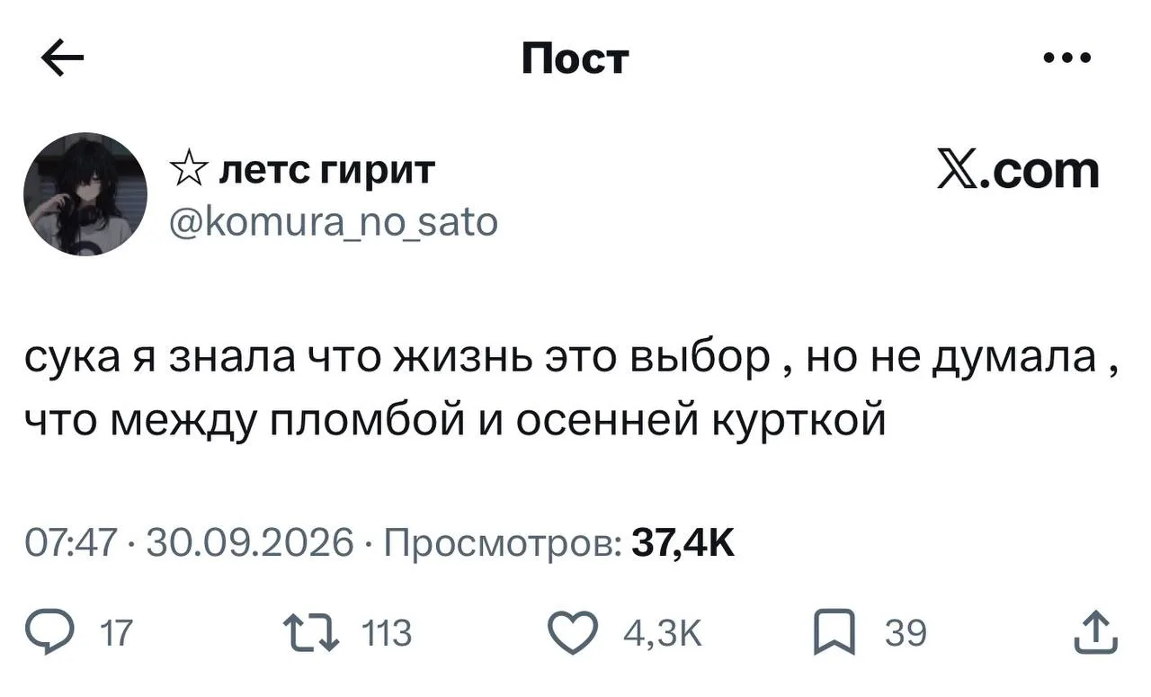 Жизнь этой осенью ставит нас перед слишком сложным выбором.