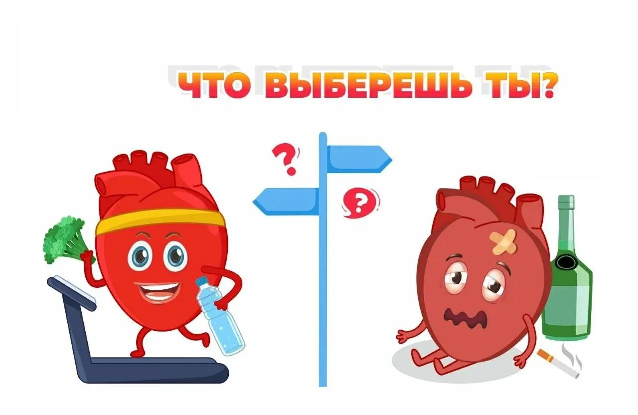 Твоё тело без алкоголя: