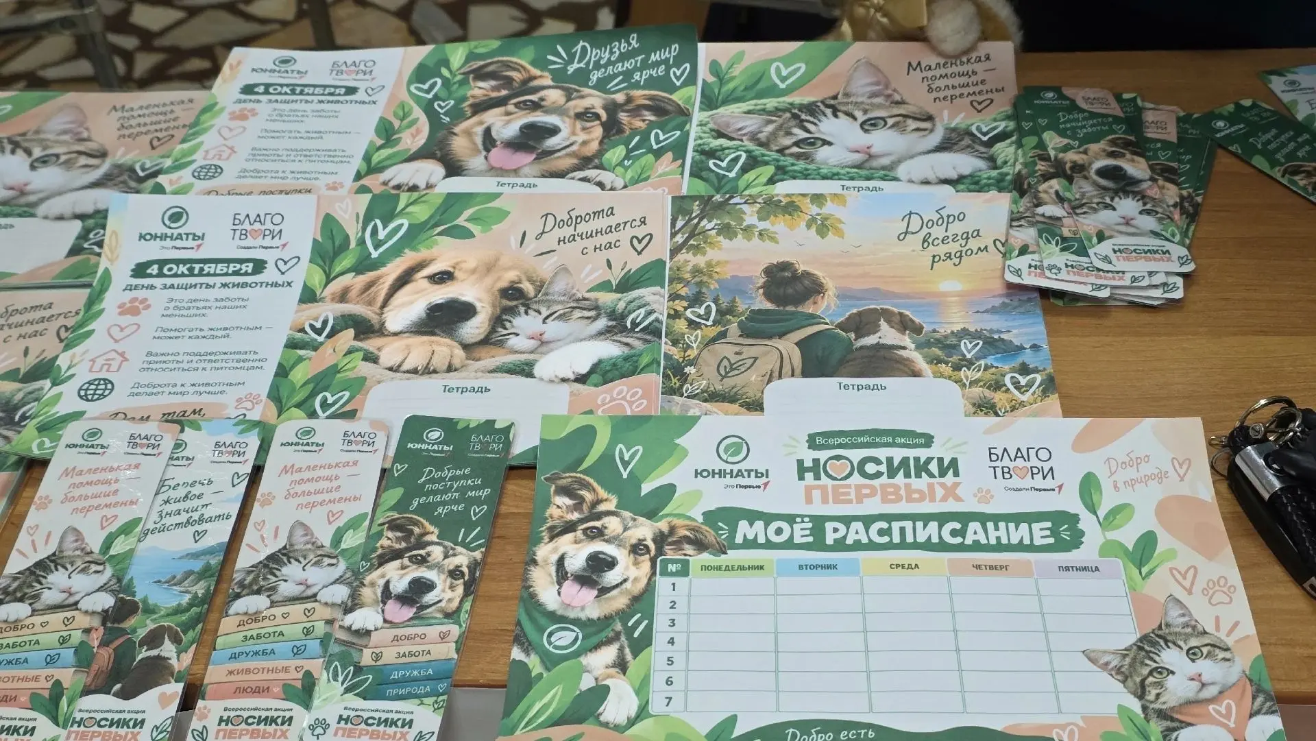 🐾 «НОСИКИ ПЕРВЫХ»: ТРАДИЦИЯ ЗАБОТИТЬСЯ