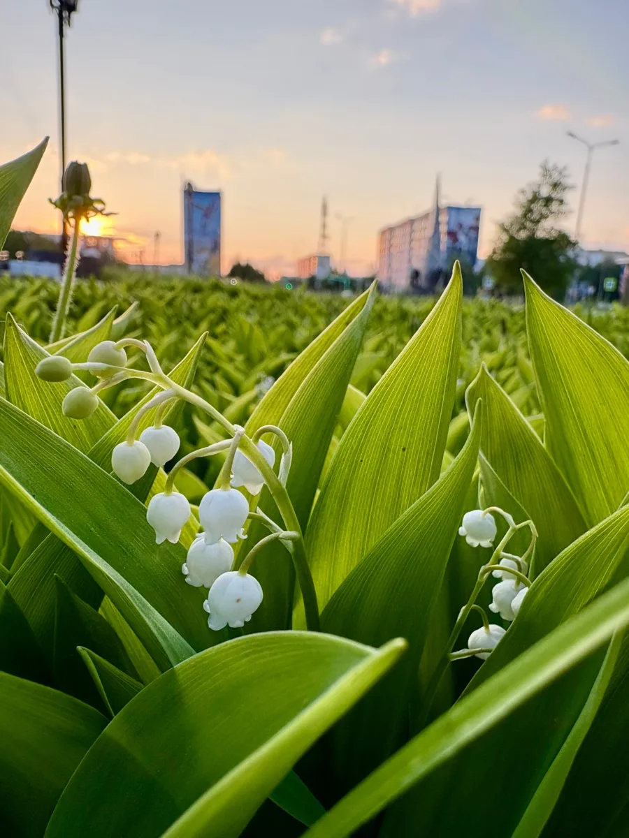 Счастье — это умение ловить мгновения❤️