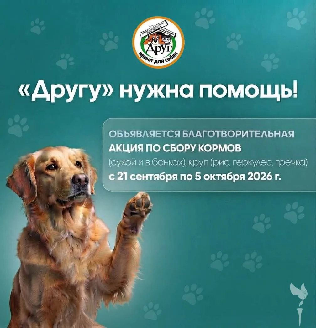 🥰Они не могут попросить сами, но очень ждут нашей помощи...