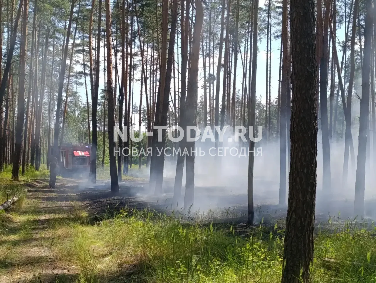 От подписчика:

Пожар на территории ур. Дубрава