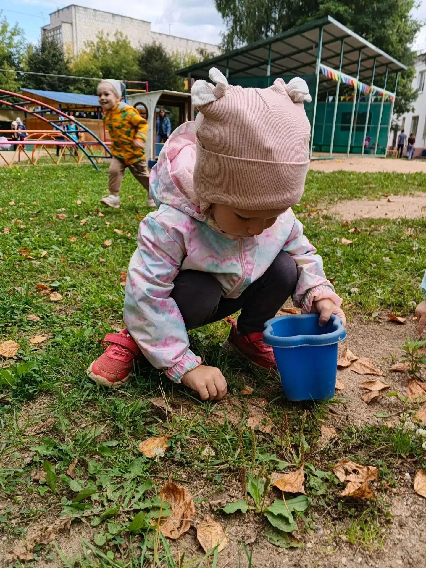 Скоро осень, и уже начинают опадать и желтеть   первые листья  , но наши прогулки стано...
