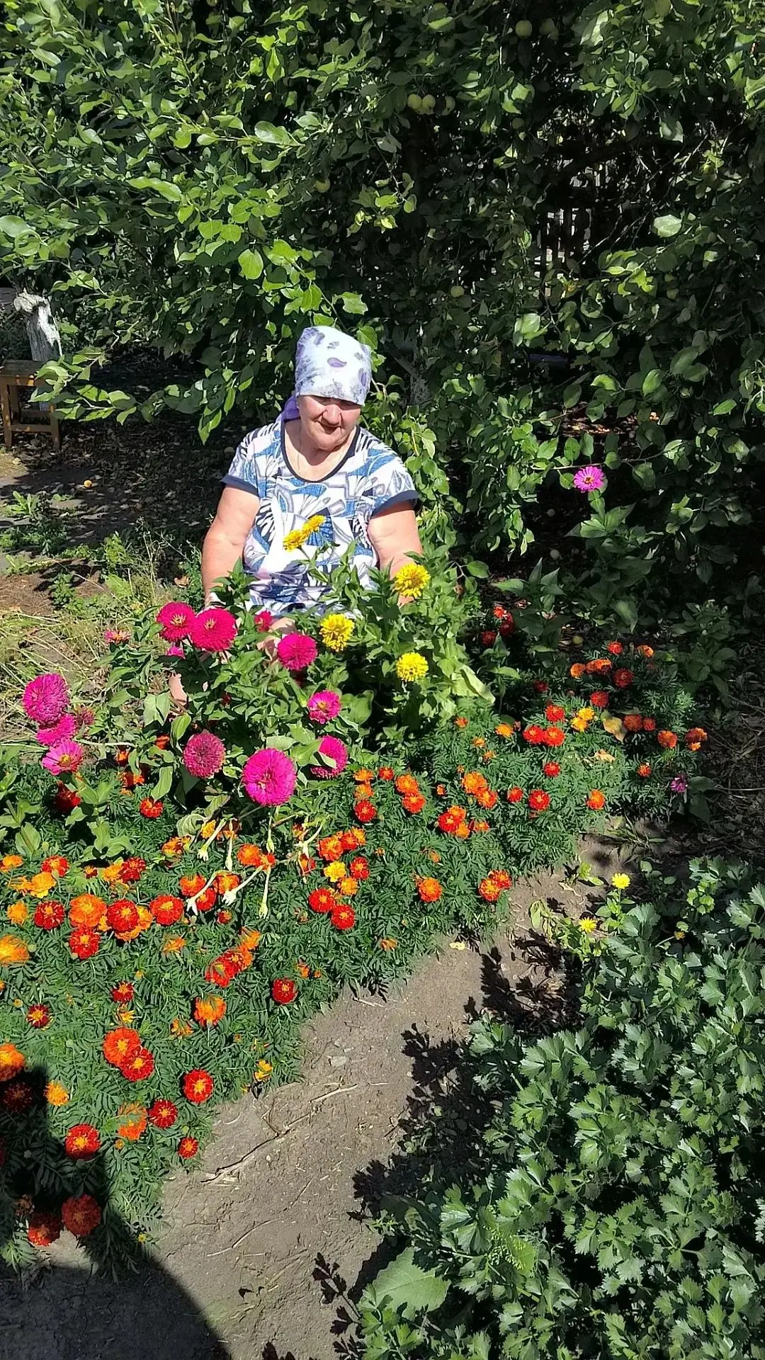 🌺На участках наших получателей социальных услуг красуются благоухающие цветники. Многи...