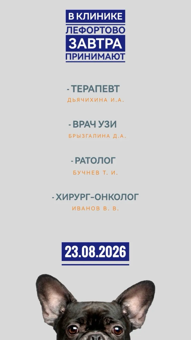 Записаться к нашим специалистам можно по телефону: