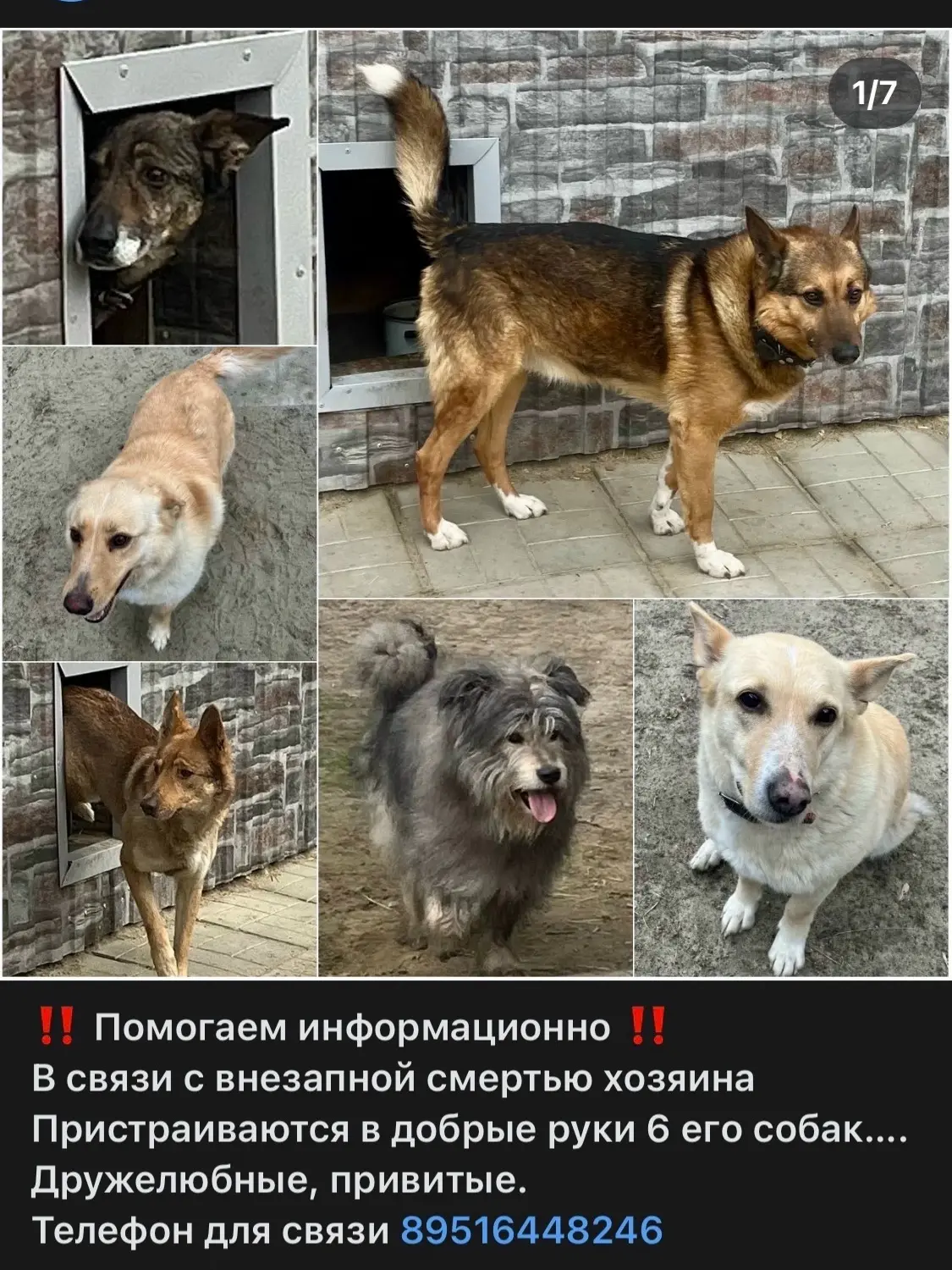 Больше новостей, фото и видео в ВК - https://vk.com/newsvmarkse