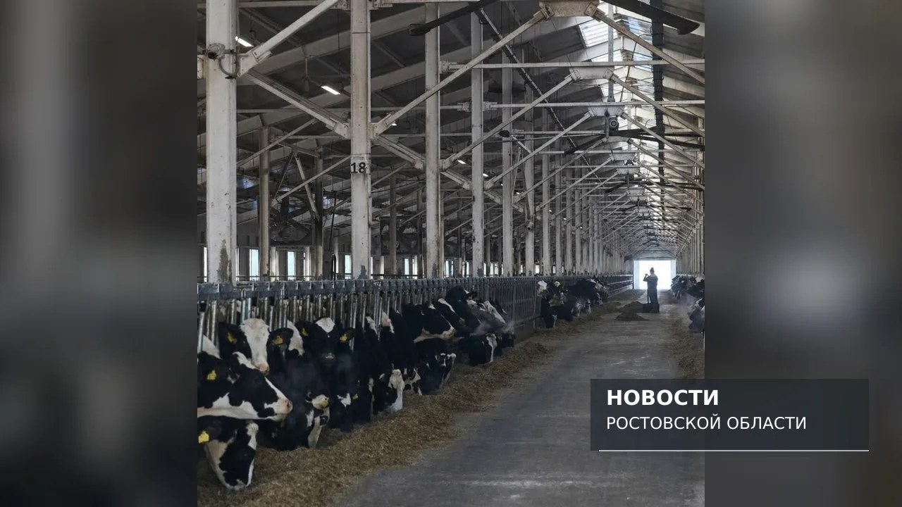 Дело экс‑главы крупного хозяйства под Ростовом снова уйдёт в суд