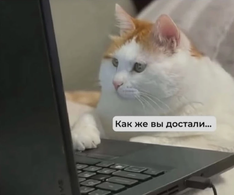 Когда тебя попросили в рабочее время сделать работу, которую ты и так должен делать: