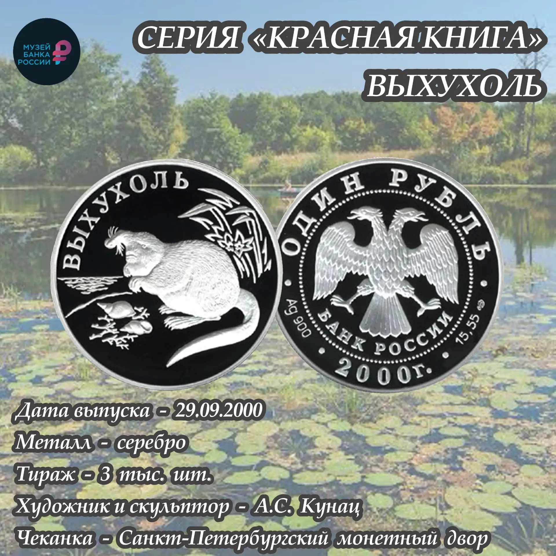 Выхухоль на монете: редкий зверек, который любит темноту и чистую воду