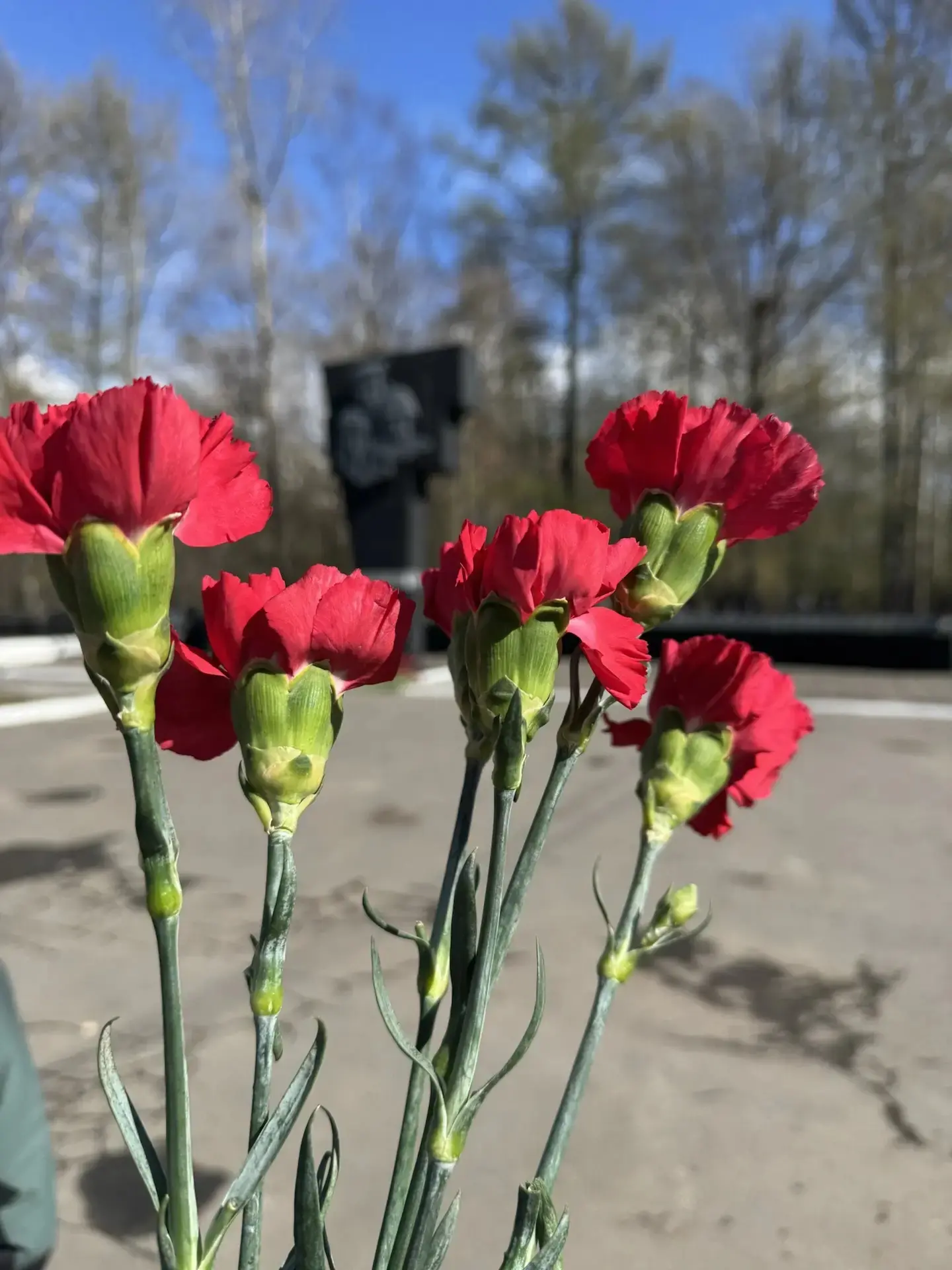 Никто не забыт, ничто не забыто: цветы к Мемориалу героев.