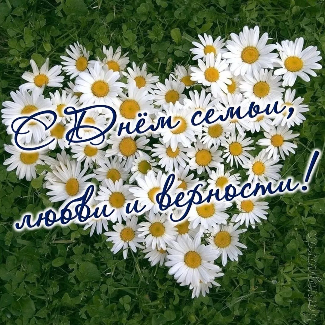 Уважаемые коллеги, родители, обучающиеся!
Желаем вам здоровья, жизненной энергии, внутренней легкост