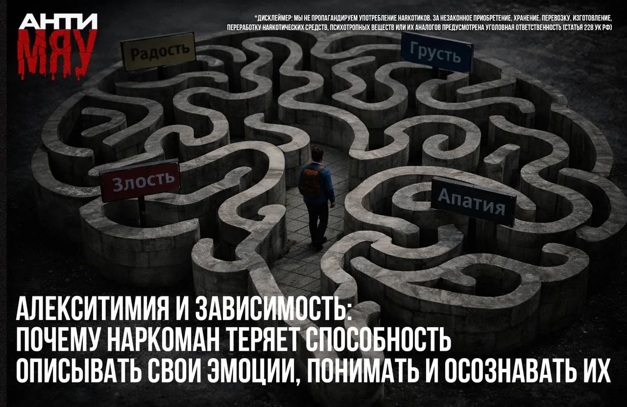 «Алекситимия и зависимость: почему наркоман теряет способность описывать свои эмоции, п...
