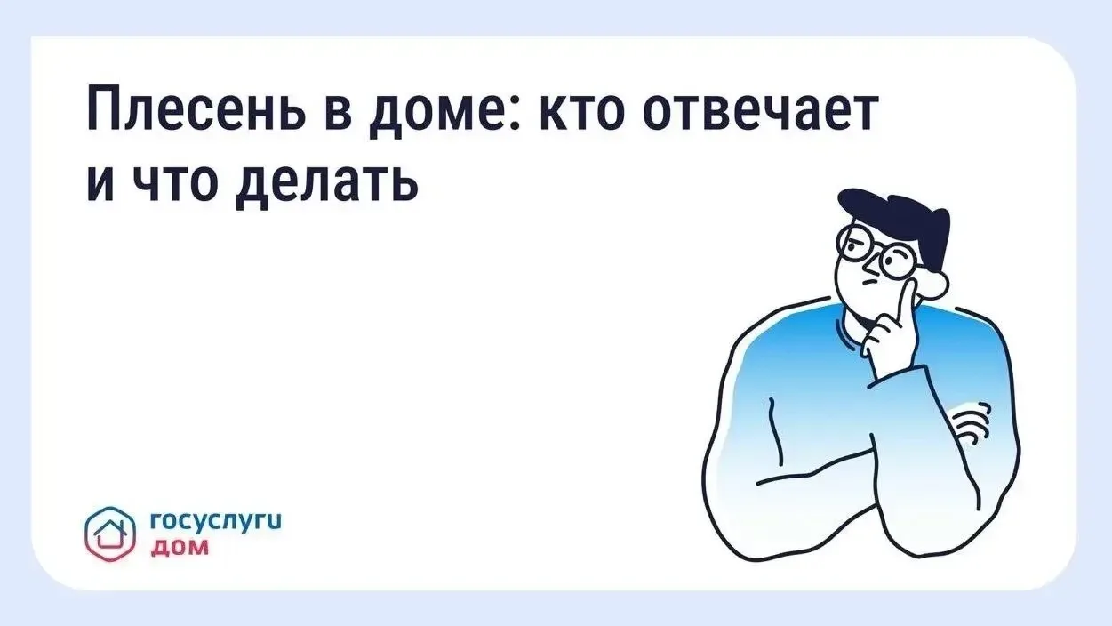 Что делать, если в квартире появилась плесень?