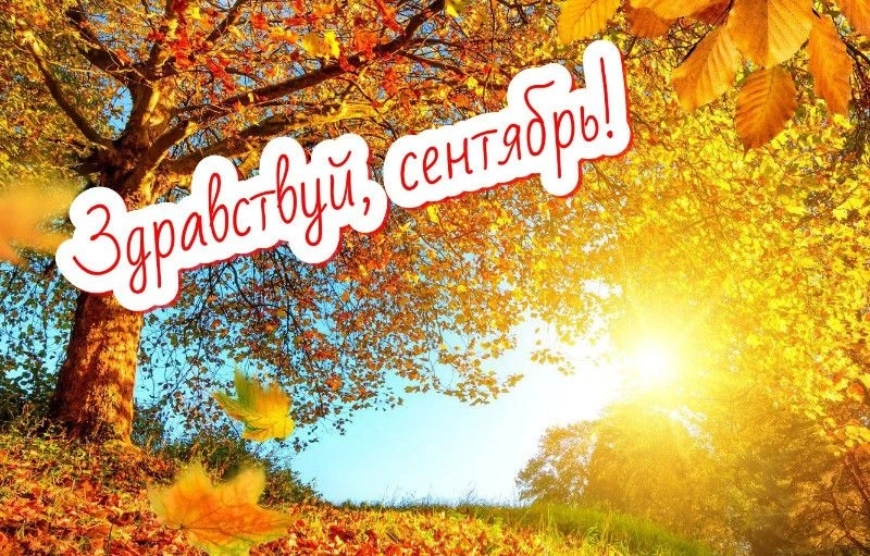 🍂Сентябрь: время золотых красок и душевных праздников