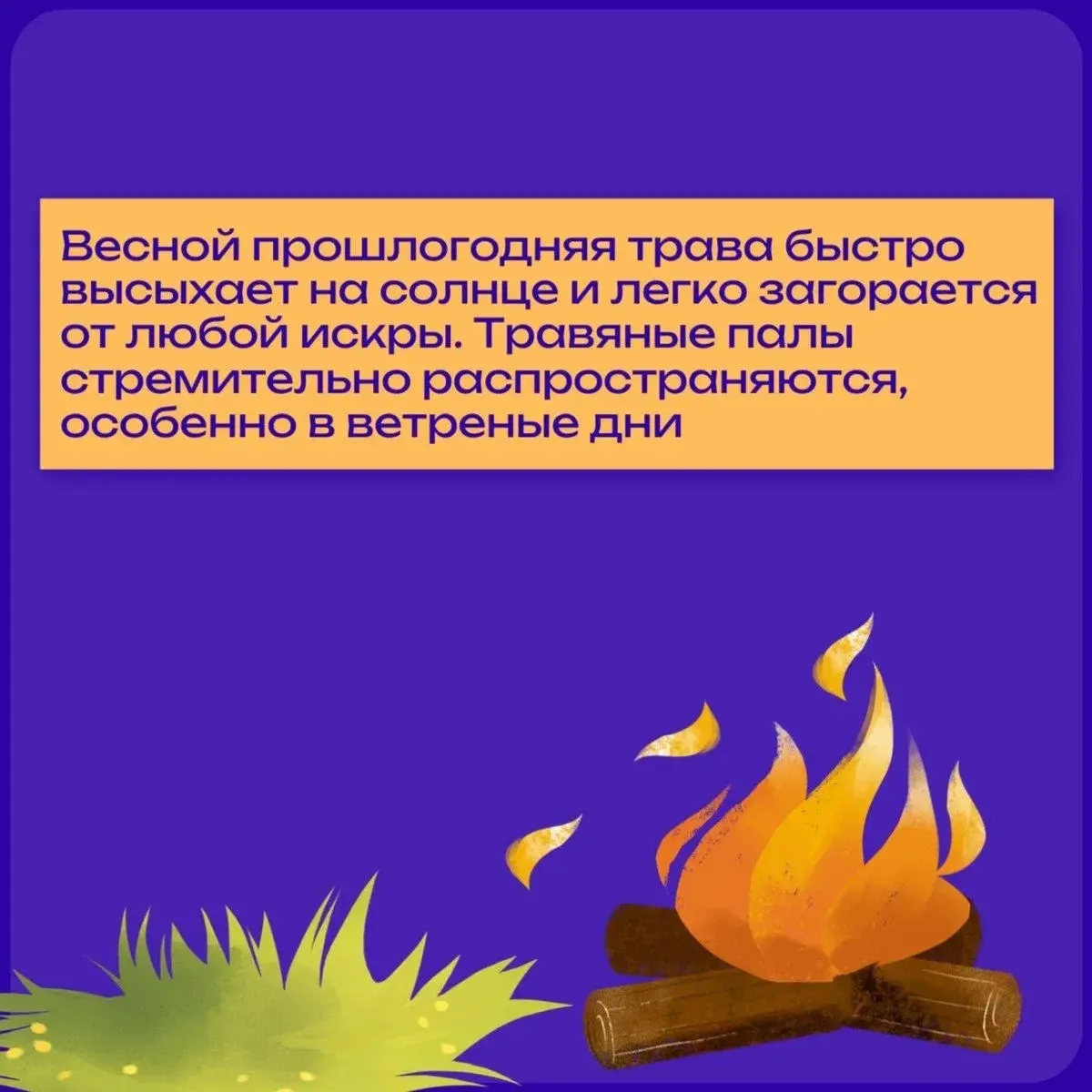 🔥 Пал травы: почти всегда виноваты мы сами.  Сухая трава вспыхивает мгновенно - от непотушенного кос