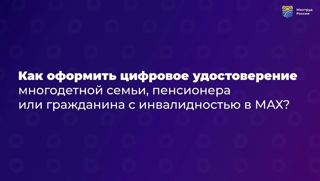 Подтвердить льготы многодетной семьи можно через приложение МАХ