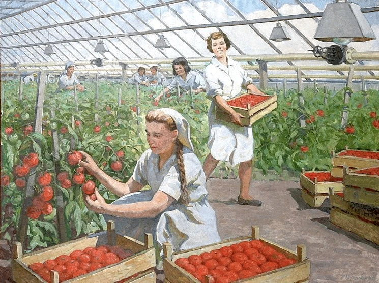"Сбор урожая помидоров" 1980 г.
