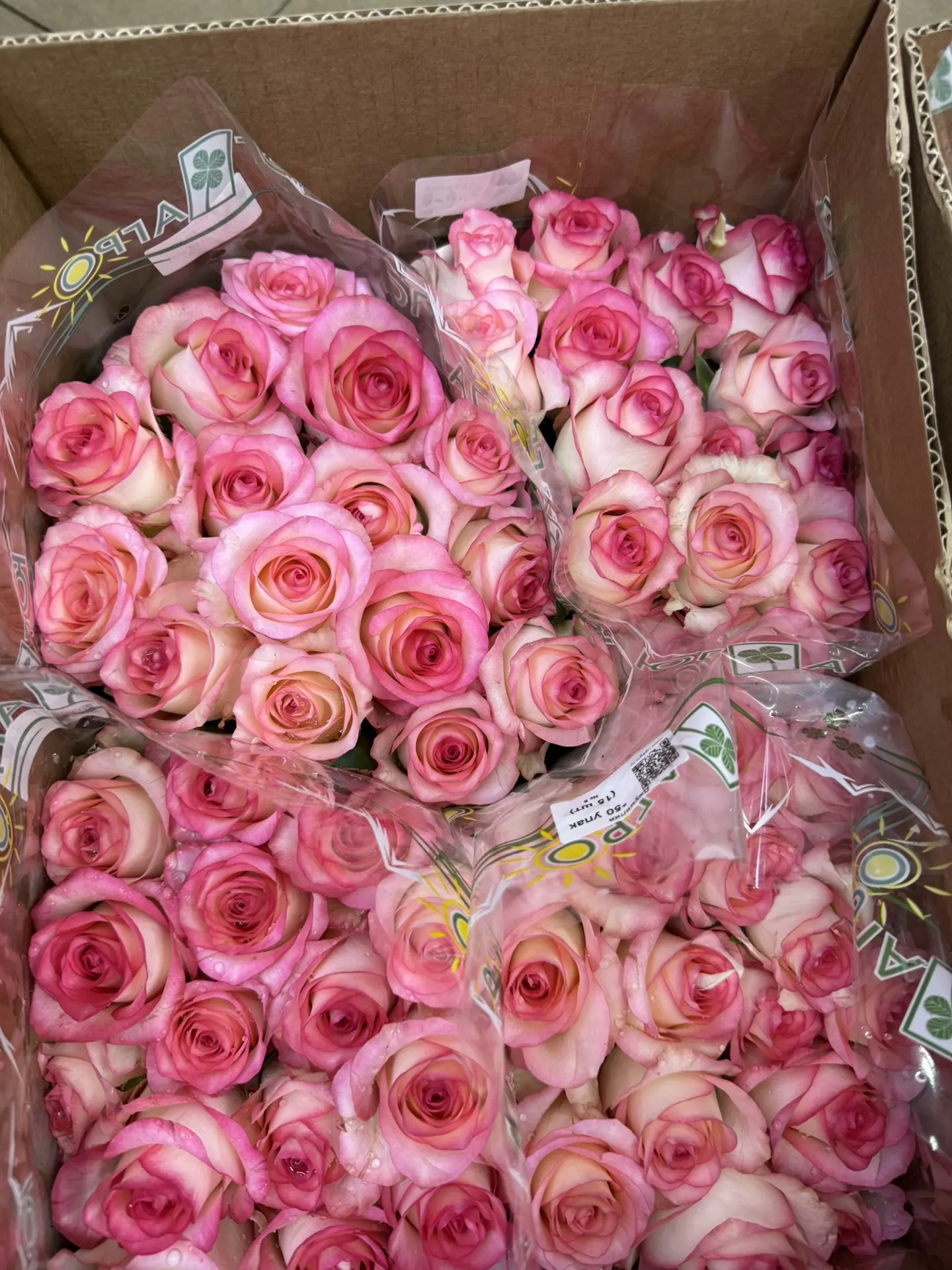 Свежая поставка Роз🌹