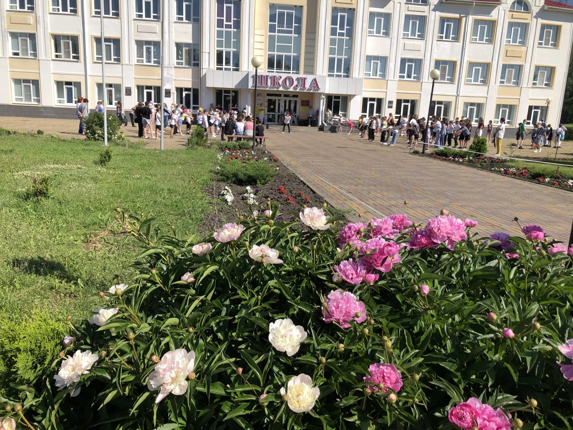 Вторая неделя лета в нашей школе!🌸☀️