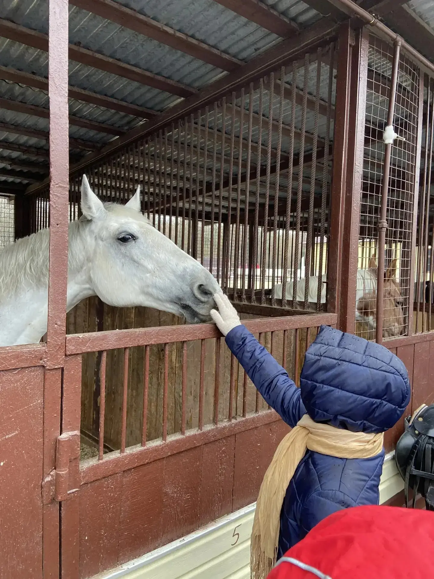 🐴 В гостях у пони!  Ученицы 4 «С» класса Елизавета и Виолетта нашей школы побывали на экскурсии в ко