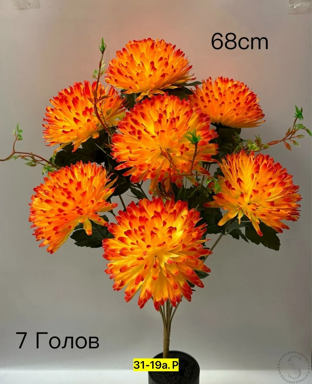 https://vk.com/photo-184814919_493512188