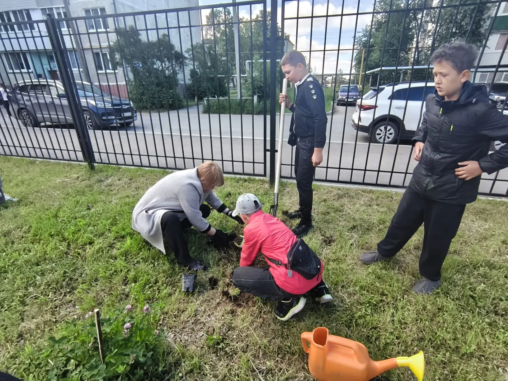 🌳✨ Уважаемые коллеги и друзья!